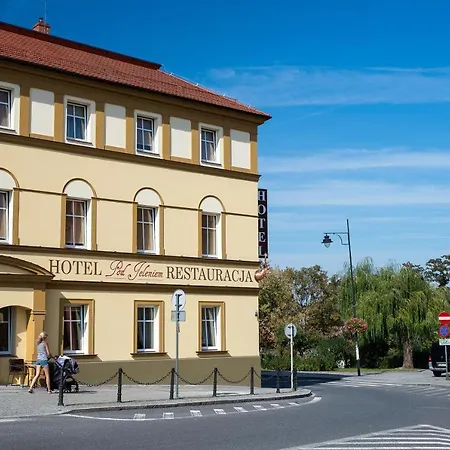 Hotel Pod Jeleniem Sobótka