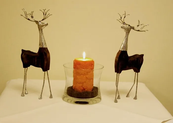 فندق Pod Jeleniem